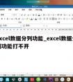 excel数据分列功能_excel数据分列功能打不开