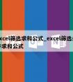 excel筛选求和公式_excel筛选条件求和公式