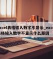 excel表格输入数字不显示_excel表格输入数字不显示什么原因