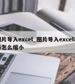 图片导入excel_图片导入excel表格怎么缩小