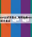 excel公式不显示_如何隐藏excel公式不显示