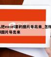 怎么把excel里的图片导出来_怎样把excel图片导出来