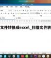 扫描文件转换成excel_扫描文件转换成PDF