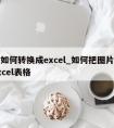 图片如何转换成excel_如何把图片转换成excel表格