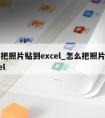 怎么把照片贴到excel_怎么把照片贴到Excel