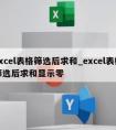 excel表格筛选后求和_excel表格筛选后求和显示零