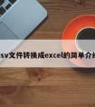 csv文件转换成excel的简单介绍