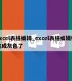 excel表格编辑_excel表格编辑栏变成灰色了