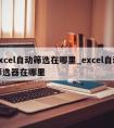 excel自动筛选在哪里_excel自动筛选器在哪里