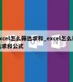 excel怎么筛选求和_excel怎么筛选求和公式