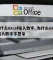 为什么excel输入数字_为什么excel输入数字不显示