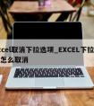 excel取消下拉选项_EXCEL下拉选项怎么取消