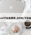 excel下拉选择项_EXCEL下拉选项