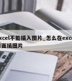 excel不能插入图片_怎么在excel里面插图片