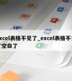 excel表格不见了_excel表格不见了空白了