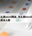 怎么用excel筛选_怎么用Excel筛选男女人数