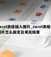 excel表格插入图片_excel表格中图片怎么固定在单元格里