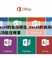 excel的自动筛选_excel的自动筛选功能在哪里