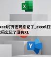 excel打开密码忘记了_excel打开密码忘记了没有XL