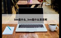 bm是什么_bm是什么意思呢