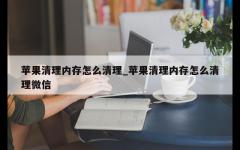 苹果清理内存怎么清理_苹果清理内存怎么清理微信