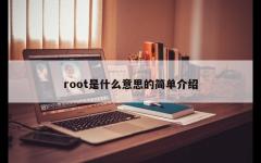 root是什么意思的简单介绍