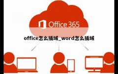 office怎么插域_word怎么插域