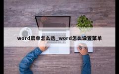 word菜单怎么选_word怎么设置菜单