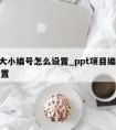 ppt大小编号怎么设置_ppt项目编号大小设置