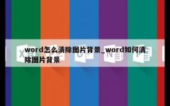 word怎么清除图片背景_word如何清除图片背景