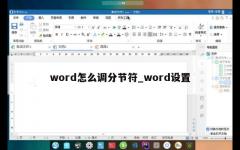 word怎么调分节符_word设置