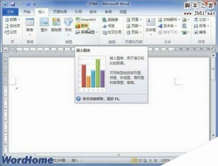 如何使用自定义图表模板在Word2010中创建图表