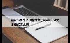 在wps里怎么调整文本_wpsword文本格式怎么调