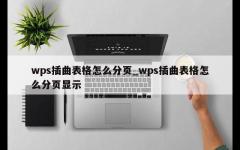 wps插曲表格怎么分页_wps插曲表格怎么分页显示