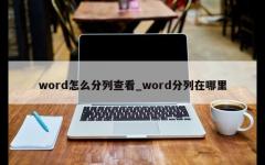 word怎么分列查看_word分列在哪里