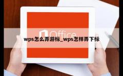 wps怎么弄游标_wps怎样弄下标