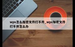 wps怎么加密文件打不开_wps加密文件打不开怎么办