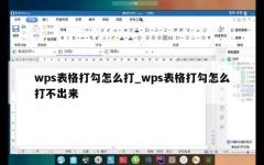 wps表格打勾怎么打_wps表格打勾怎么打不出来