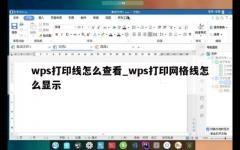 wps打印线怎么查看_wps打印网格线怎么显示