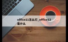 office11怎么打_office12是什么