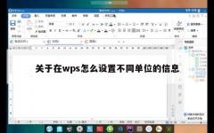 关于在wps怎么设置不同单位的信息