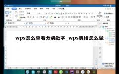 wps怎么查看分类数字_wps表格怎么做