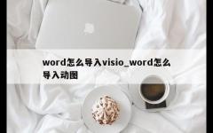 word怎么导入visio_word怎么导入动图