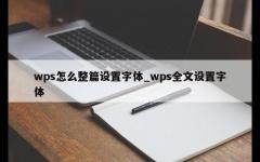 wps怎么整篇设置字体_wps全文设置字体