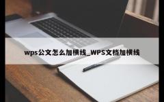 wps公文怎么加横线_WPS文档加横线