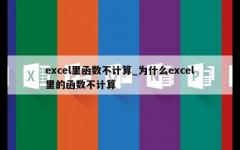 excel里函数不计算_为什么excel里的函数不计算