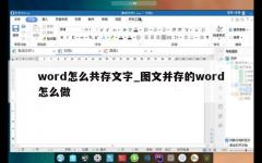 word怎么共存文字_图文并存的word怎么做