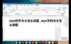 wps的字大小怎么设置_wps字的大小怎么调整