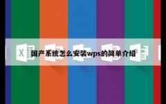 国产系统怎么安装wps的简单介绍