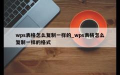 wps表格怎么复制一样的_wps表格怎么复制一样的格式